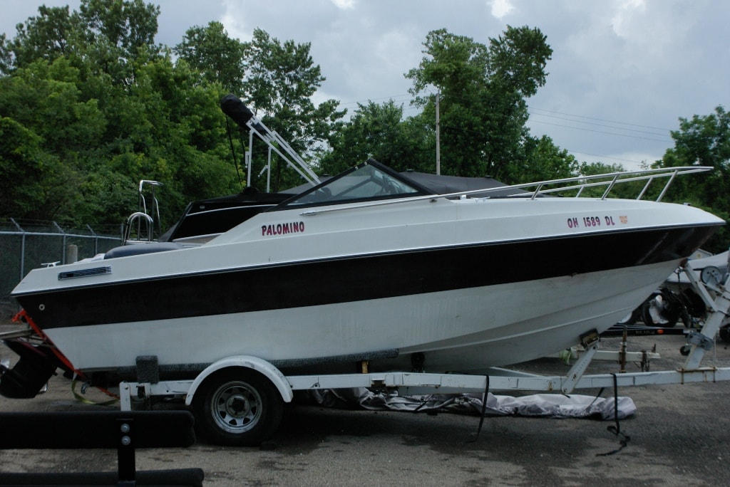 1989 Century Palomino 1